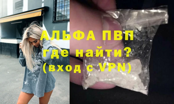 дживик Новозыбков